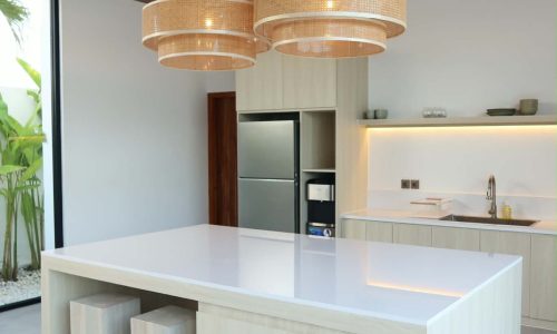 FOR LEASE VILLA 2BR BABAKAN CANGGU WITH RICE VIEW